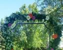 Arbor decorated with fresh mixed greenery and gerber daisies.