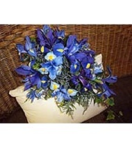 Cascading bridal bouquet with blue iris and dark blue delphinium.