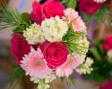 Bright pink roses, pale pink gerbera daisies, hydrangea and stock.