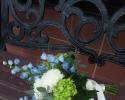 Light blue delphinium, white football mums, green hydrangea and seeded eucalyptus tied with a soft ivory satin ribbon.