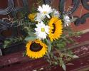  Wild flower bridal bouquwt with sunflowers and white daisies and a variety of greenery including eucalyptus.
