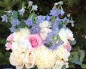  Light blue delphinium, standard mums, roses, freesia and seeded eucalyptus.