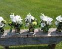 These beautiful bouquets were designed in Mason Jars with monogrammed wooden circles.
