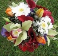 Green cymbidium orchids, berries, red miniature calla lilies, white gerbera daisies.