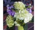 Lime green and white hydrangea, lavender stock and green hypericum berries.