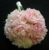 One of our favorites, all light pink peonies.
