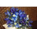 Cascading bridal bouquet with blue iris and dark blue delphinium.