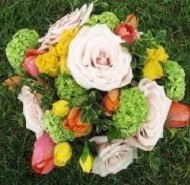 Green viburnum, champagne roses, orange tulips.