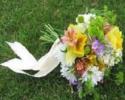 A variety of summer wildflowers.