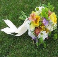 A variety of summer wildflowers.