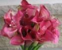 Pink minature calla liies with clear silver crystal sprays.