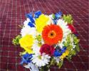 Yellow roses, orange gerbera daisies, blue delphinium.