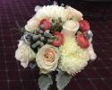 Soft white football mums, peach ranunculus, bruins berries, ivory roses accented with dusty miller.